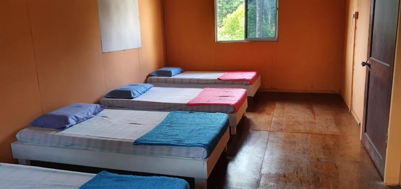 Mulu Homestay Bagian luar foto