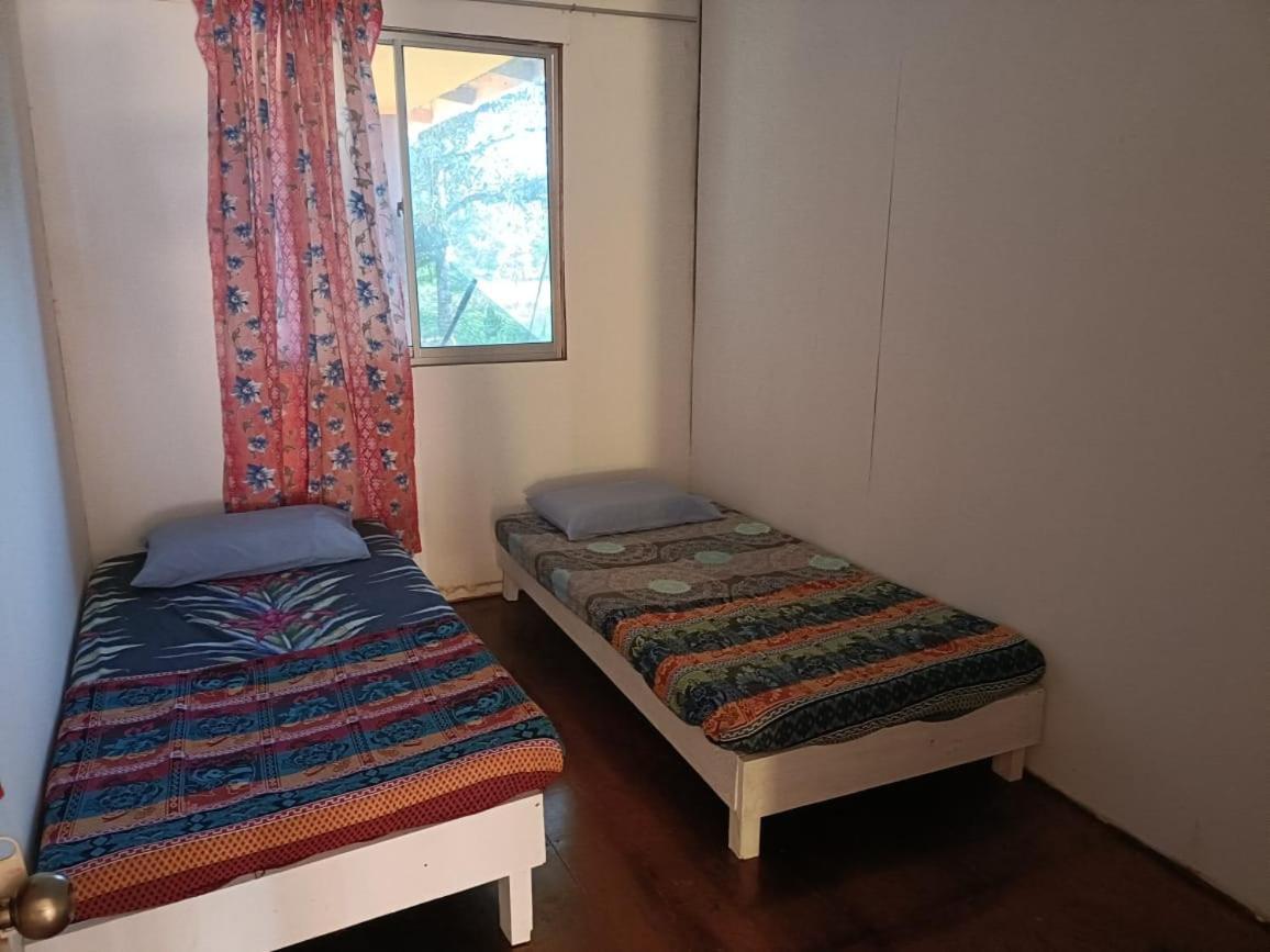 Mulu Homestay Bagian luar foto